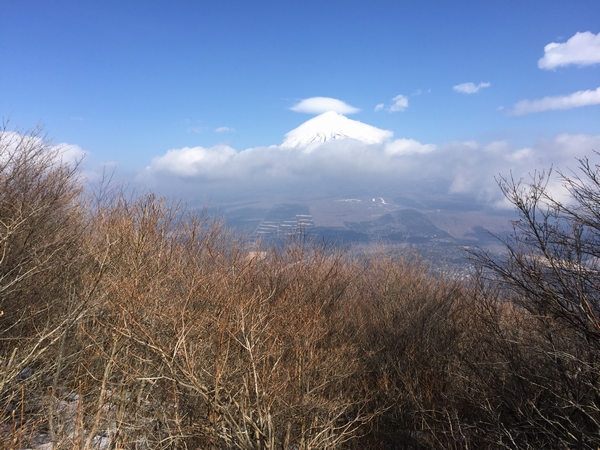 越前岳手前からの富士山